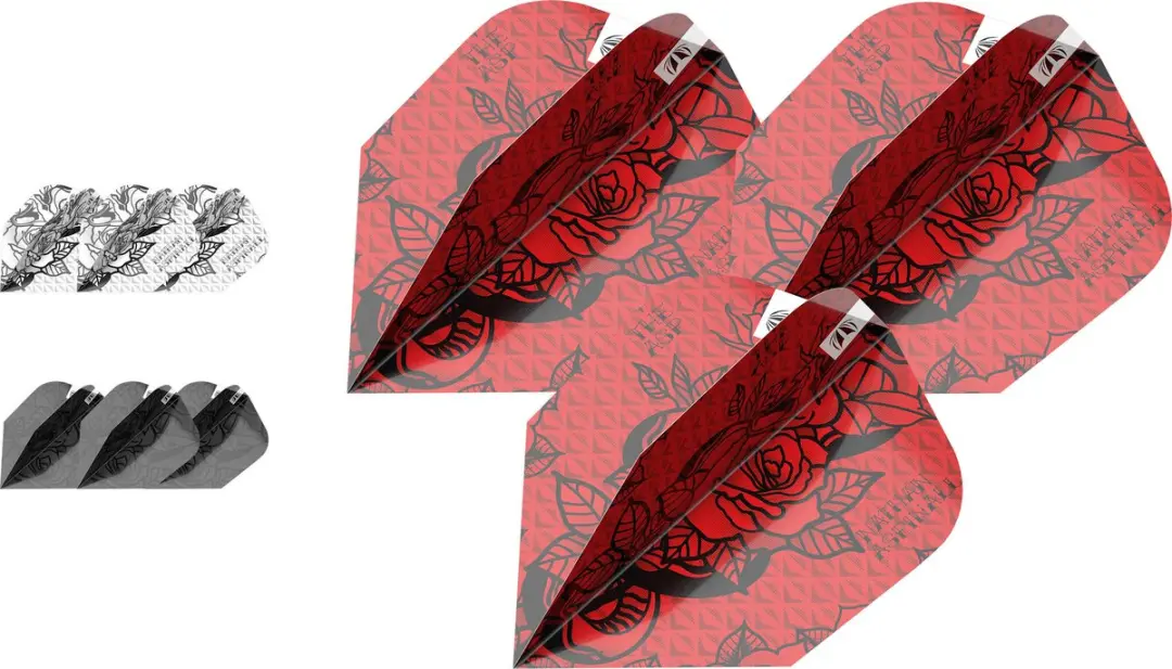 Target Nathan Aspinall 3 Sets Ink 2023 Ten-X Dart Flights