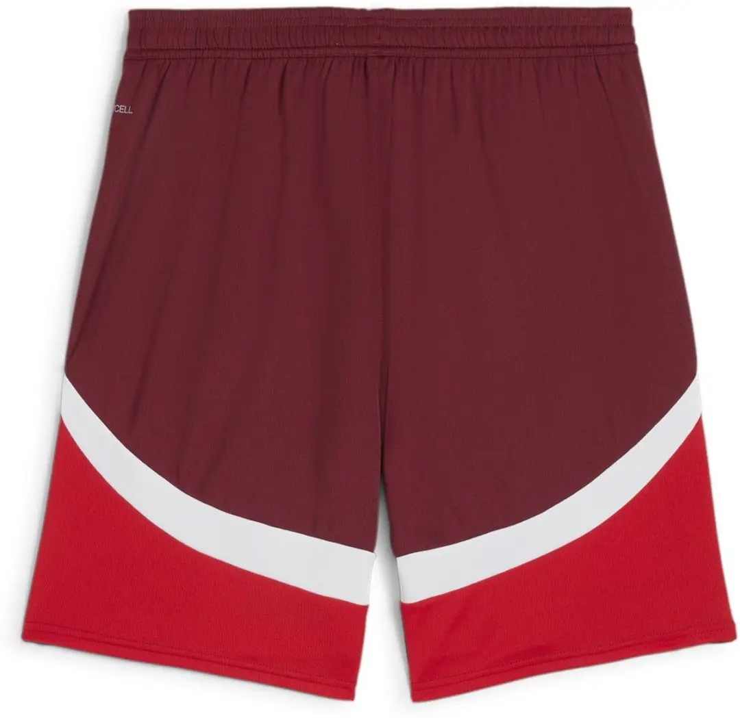 PUMA SFV Replica Sportbroek L - Team Regal Red