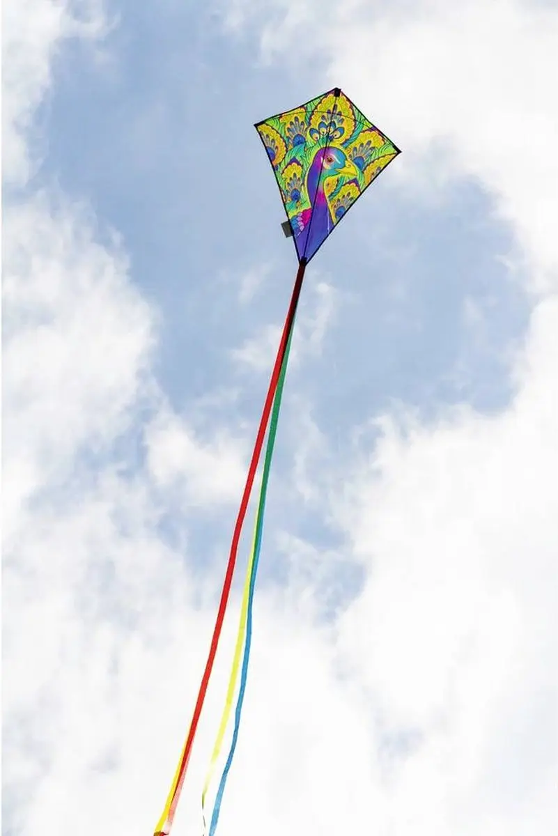 Ecoline Vlieger Eddy Peacock 580mm - Windsterkte 2-5 bft