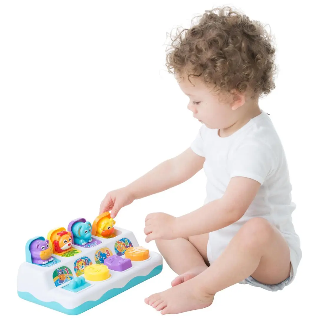 Playgro Muzikale Pop Up Speelgoed - Multi