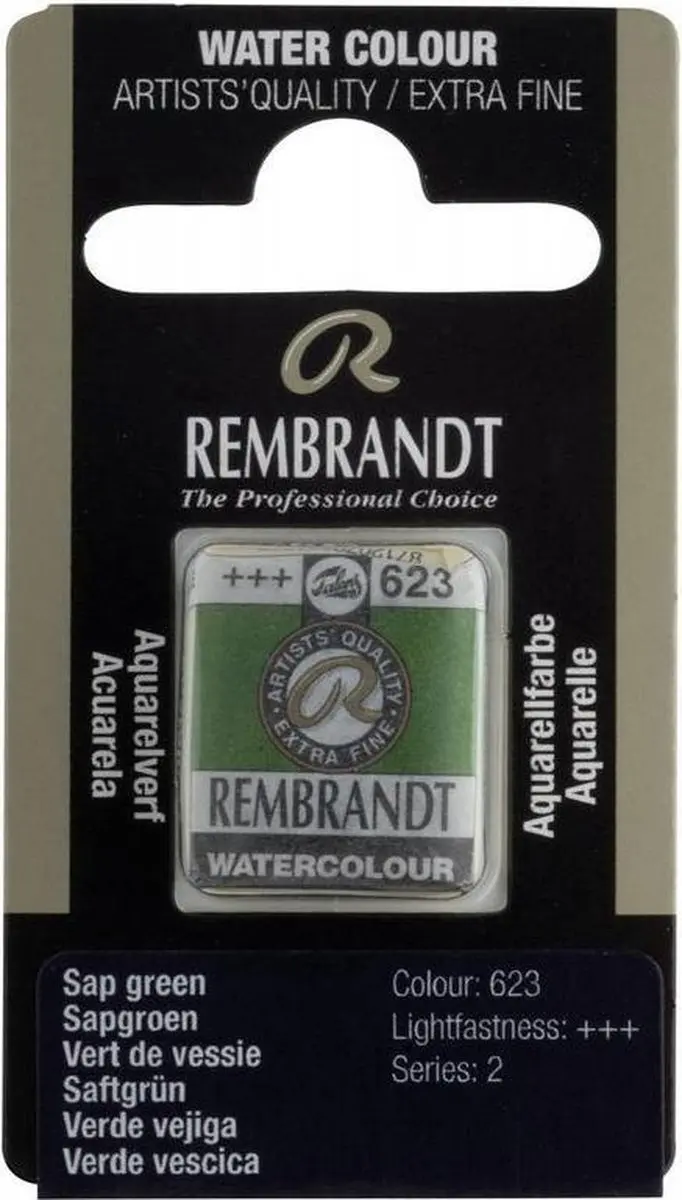 Rembrandt Waterverf Napje Sap Green 10g