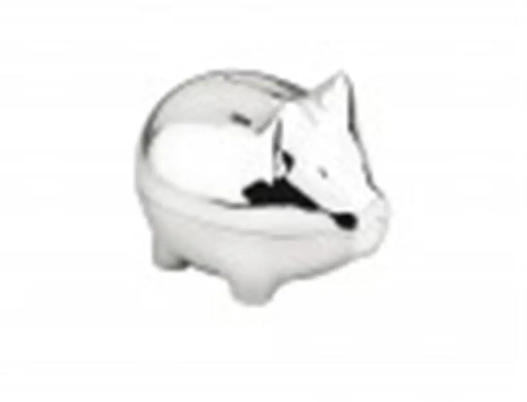 Zilverstad Spaarpot Varken 6305600 - 10x7x8cm Zilver