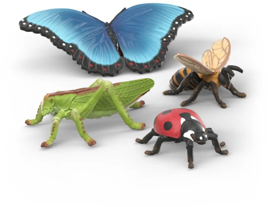 Insecten ontdekkingsset