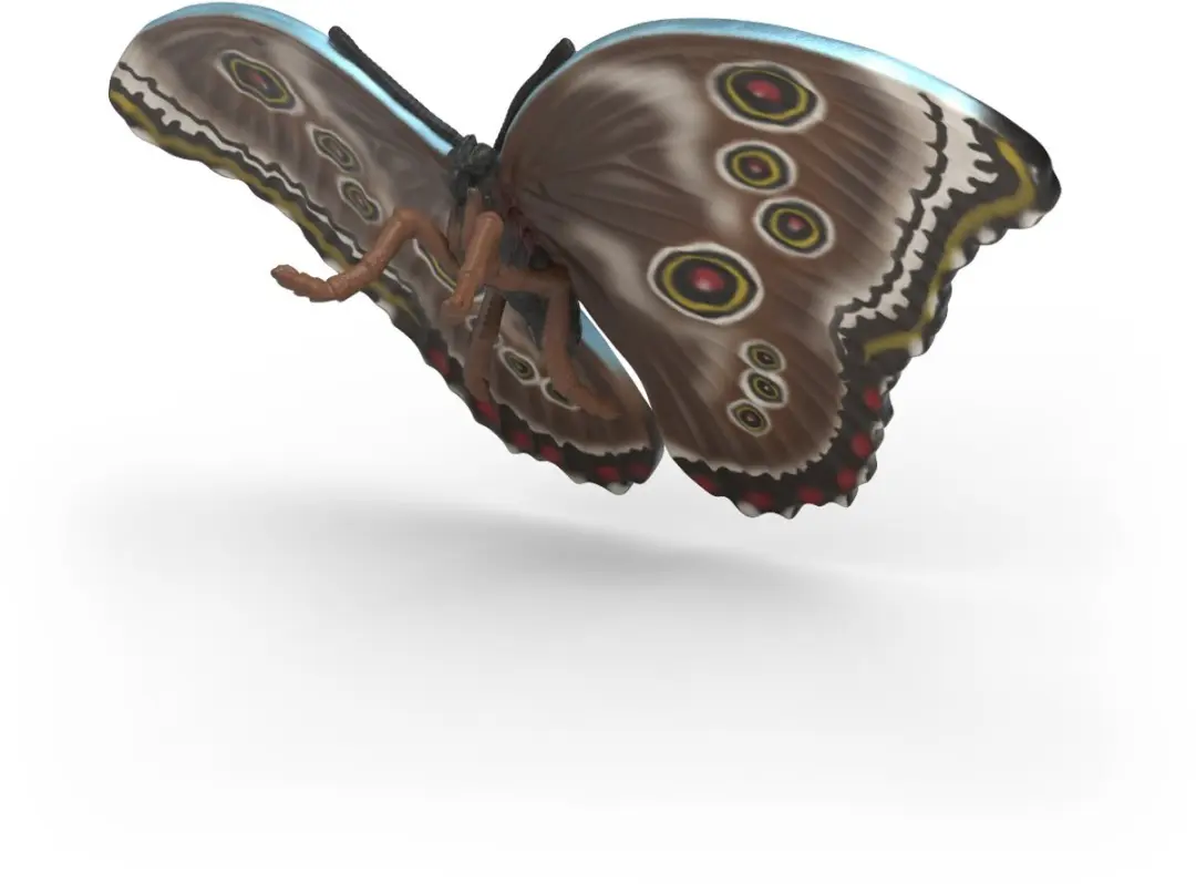 Schleich Insecten Ontdekkingsset 42741