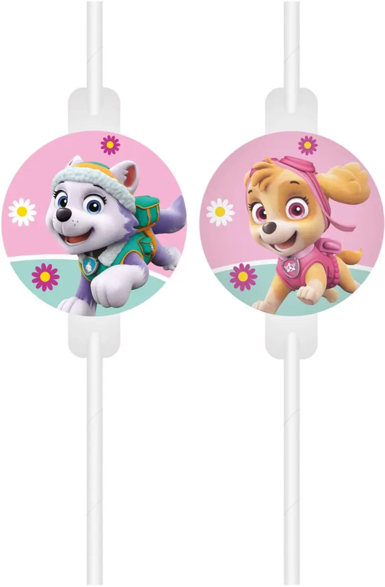 PAW Patrol Skye & Everest Papieren Rietjes