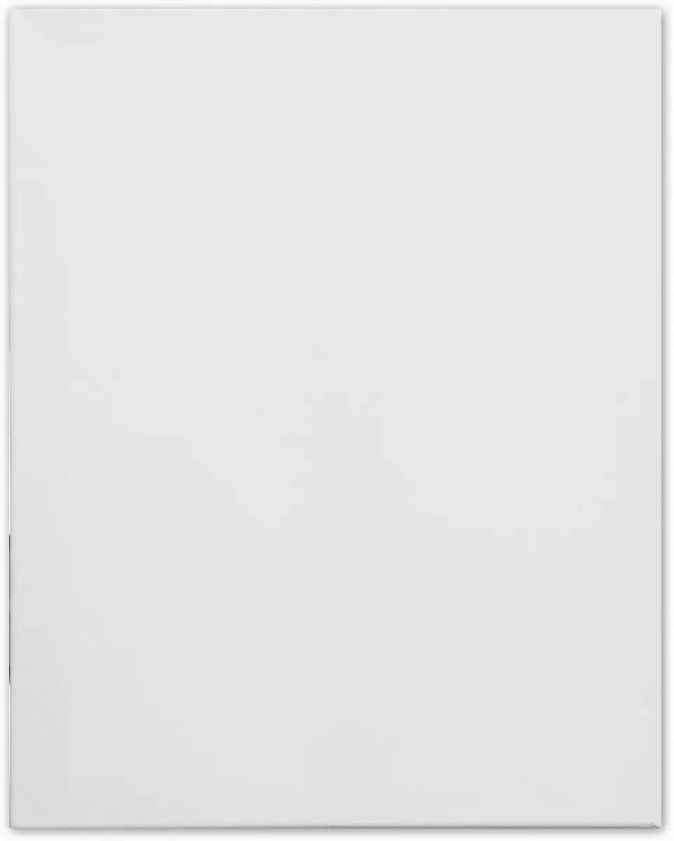 Kangaro 3D Schildersdoek 40x50cm - 380g - 3 lagen gesso - met 8 wiggen - afbeelding 6 van 6