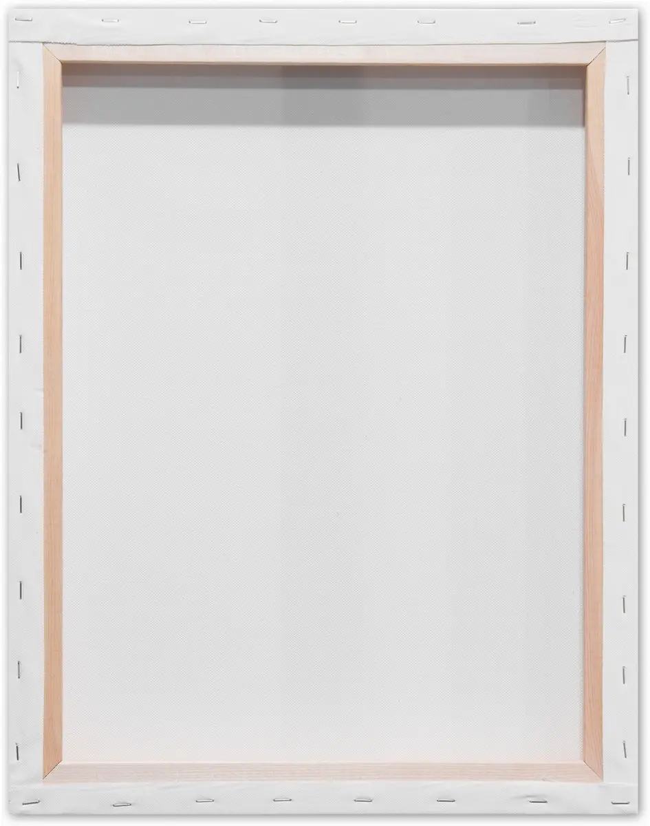 Kangaro 3D Schildersdoek 40x50cm - 380g - 3 lagen gesso - met 8 wiggen