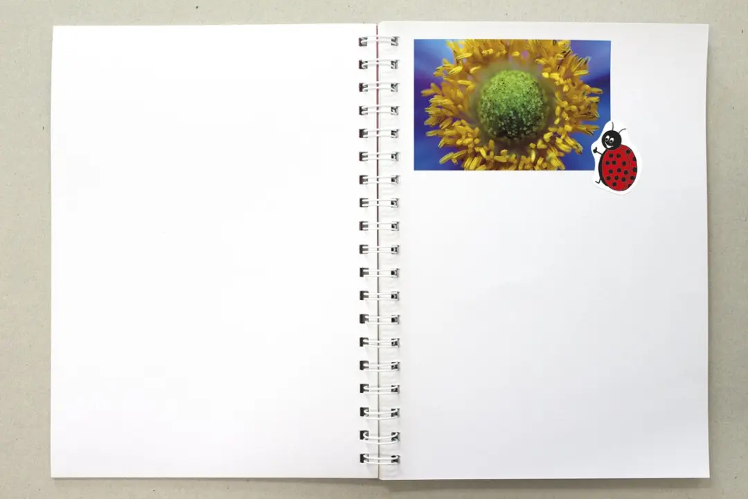 Kangaro Plakboek A3 80 Pagina's - Zwart