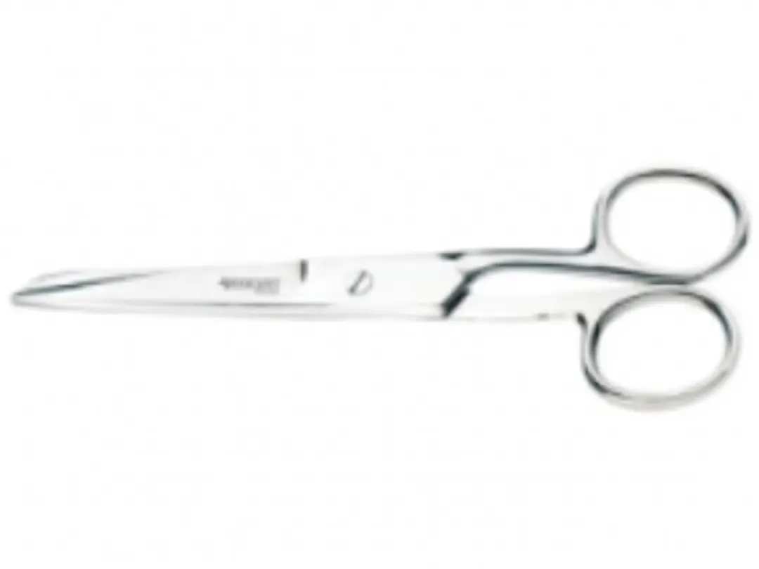 Herder Schaar 6" - Zilver