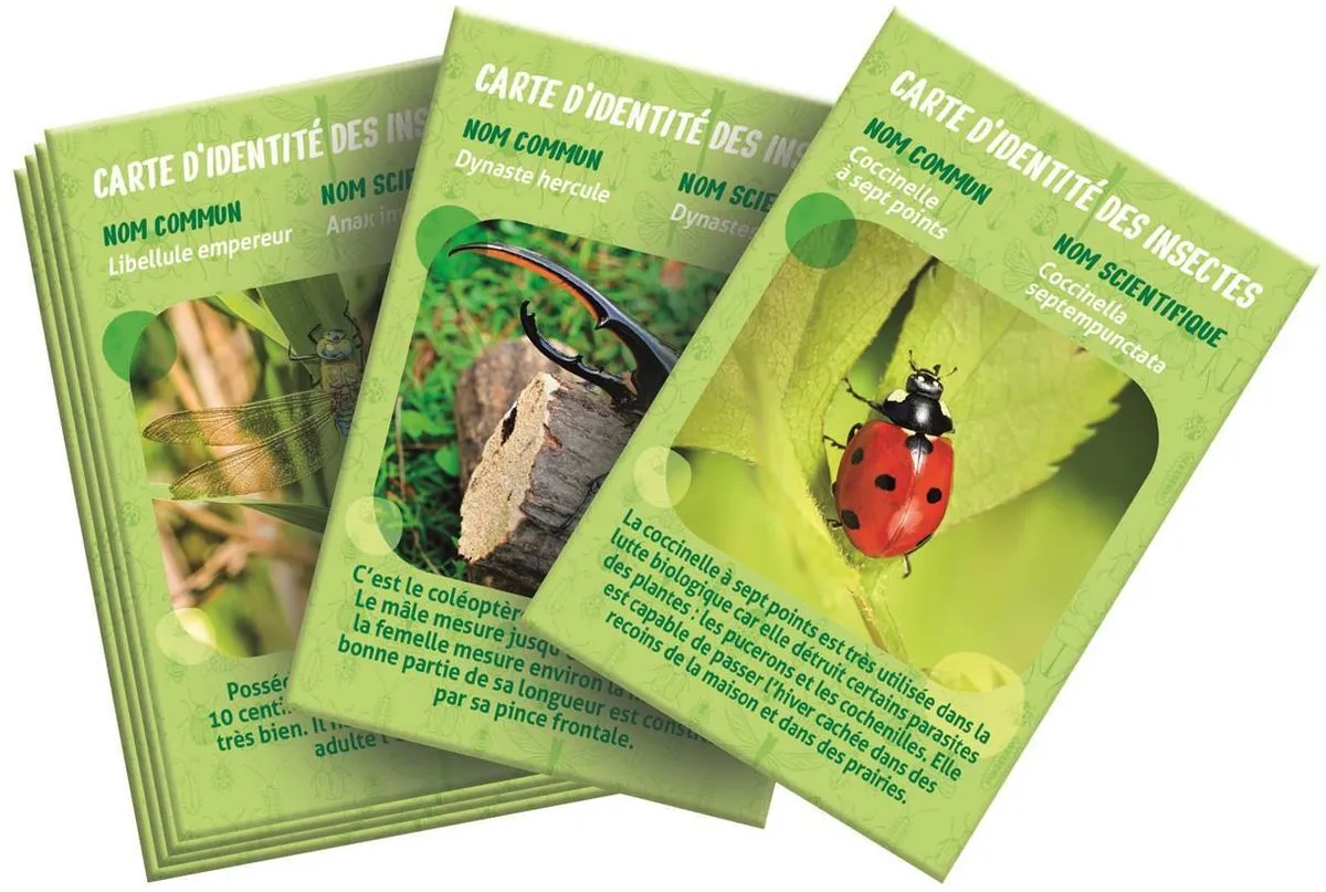 Clementoni Insectenhuis 52880 - Groen