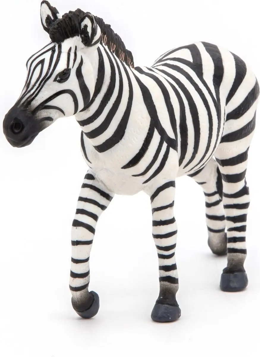 Speelfiguur Zebra Hengst - Papo 50249 - Meerdere kleuren - afbeelding 6 van 6