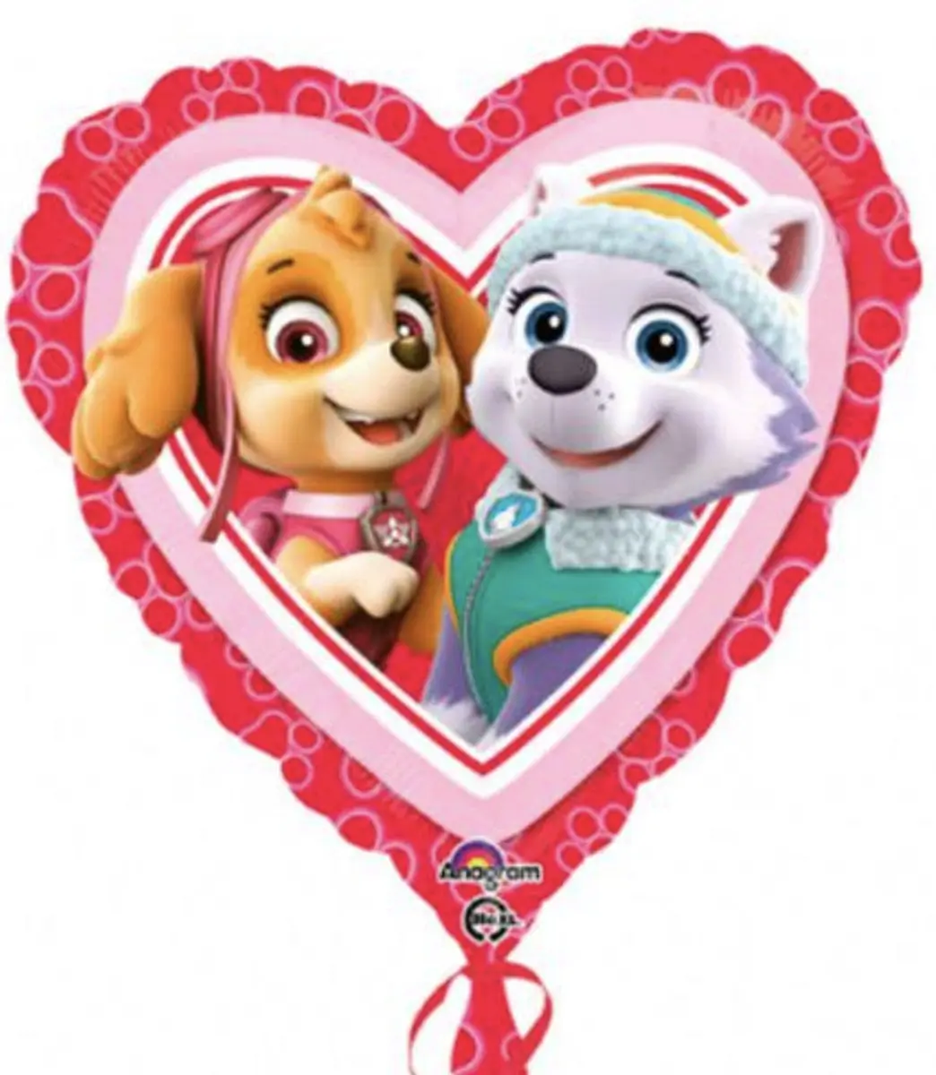 PAW Patrol Ballon Skye & Everest 43cm - Roze
