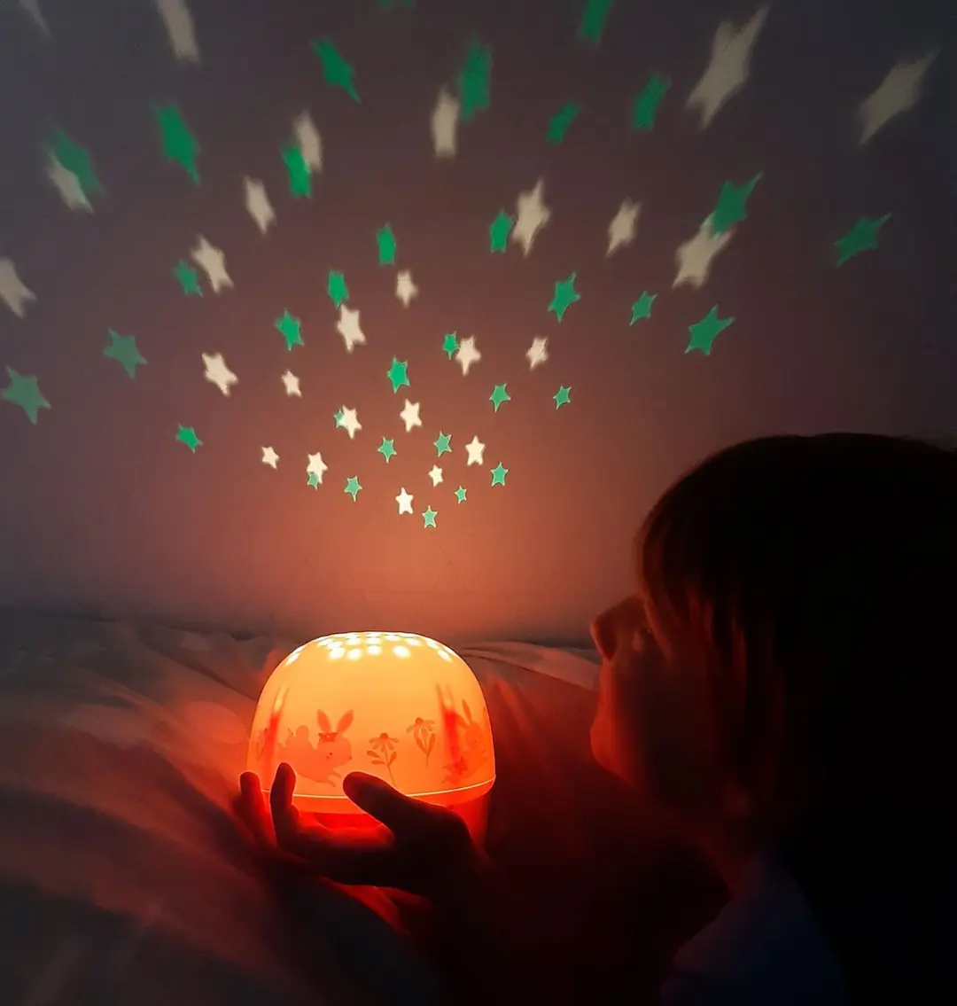 A Little Lovely Company Sterrenprojectorlamp Vlinders