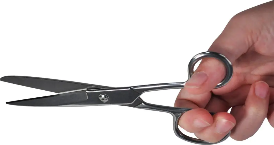 Desq Schaar 18cm - Verchroomd