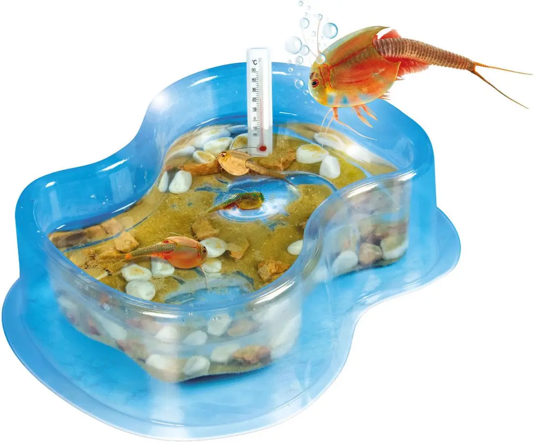 Clementoni Triops Aquarium - Meerkleurig
