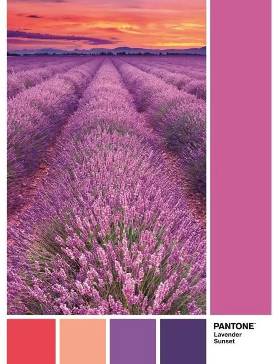 Clementoni Pantone Puzzle Collectie Vivid Viola 1000 Stuks - afbeelding 3 van 3