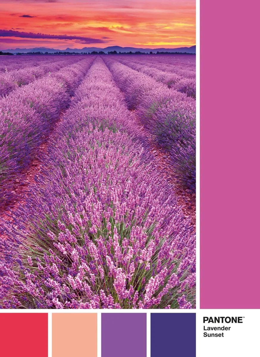 Clementoni Pantone Puzzle Collectie Vivid Viola 1000 Stuks - afbeelding 2 van 3