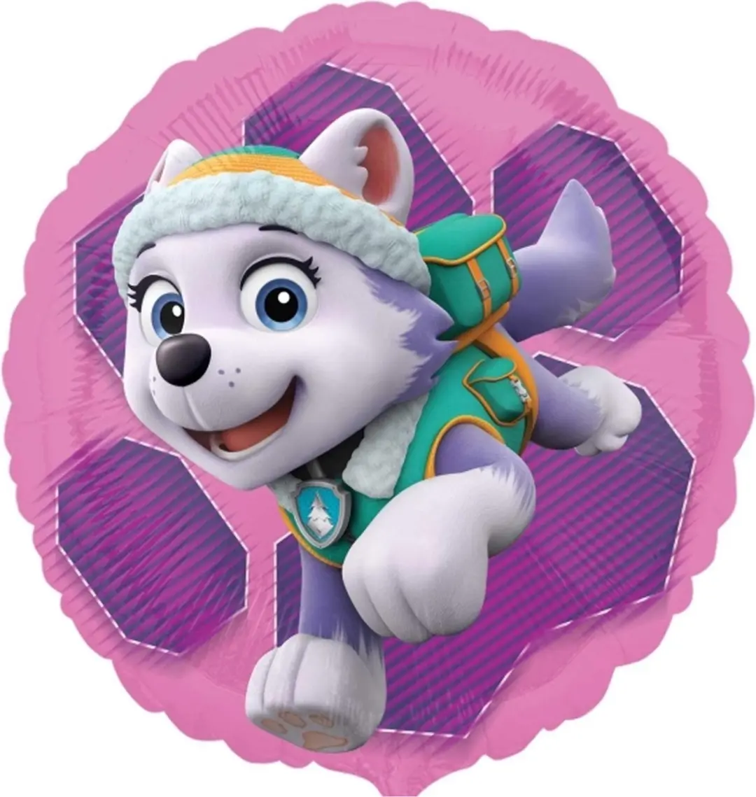 PAW Patrol Ballon Skye & Everest Folie 43cm Roze