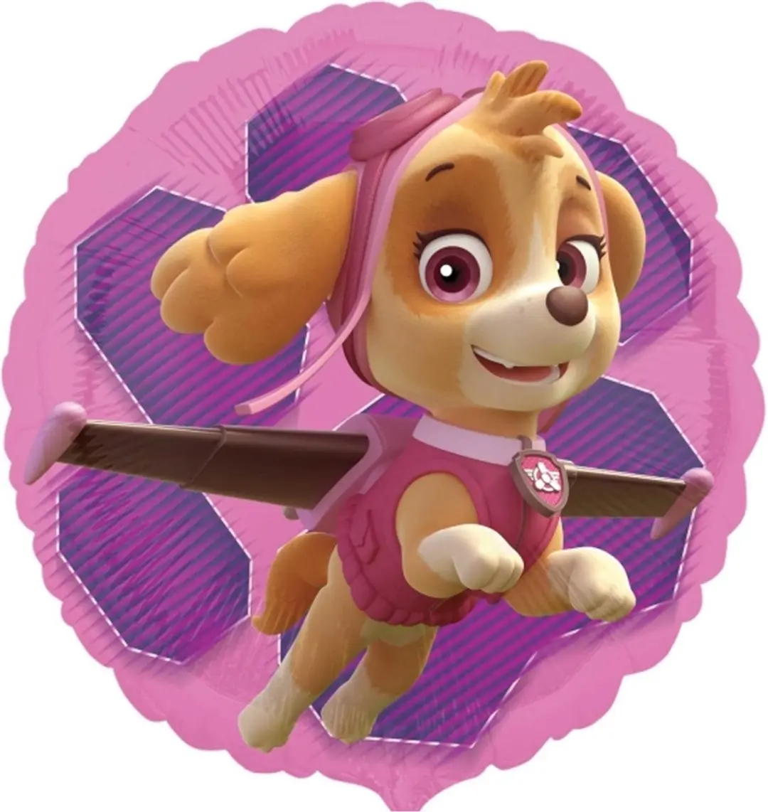 PAW Patrol Ballon Skye & Everest Folie 43cm Roze
