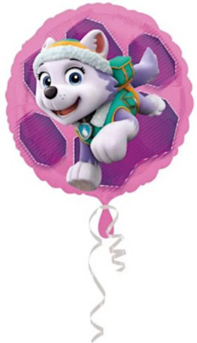 PAW Patrol Ballon Skye & Everest Folie 43cm Roze