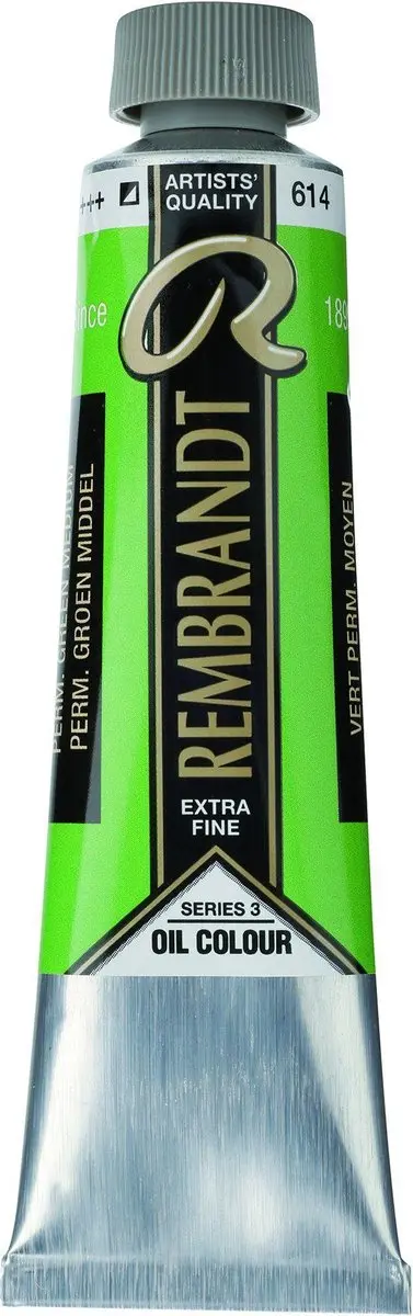 Rembrandt Olieverf Permanent Green Medium 614