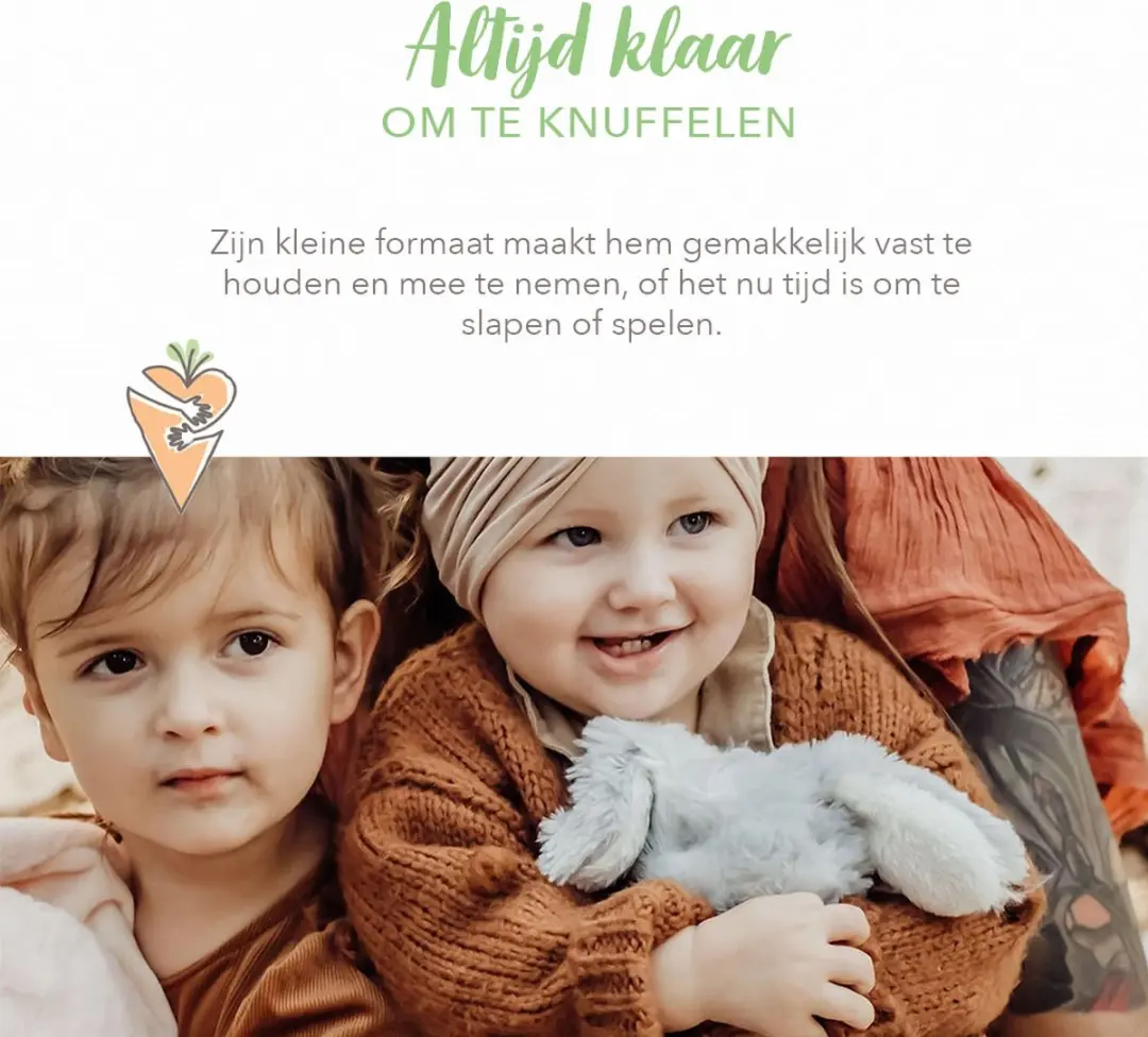 Bunnies By The Bay Wee Knuffel Konijn - 18cm Grijs