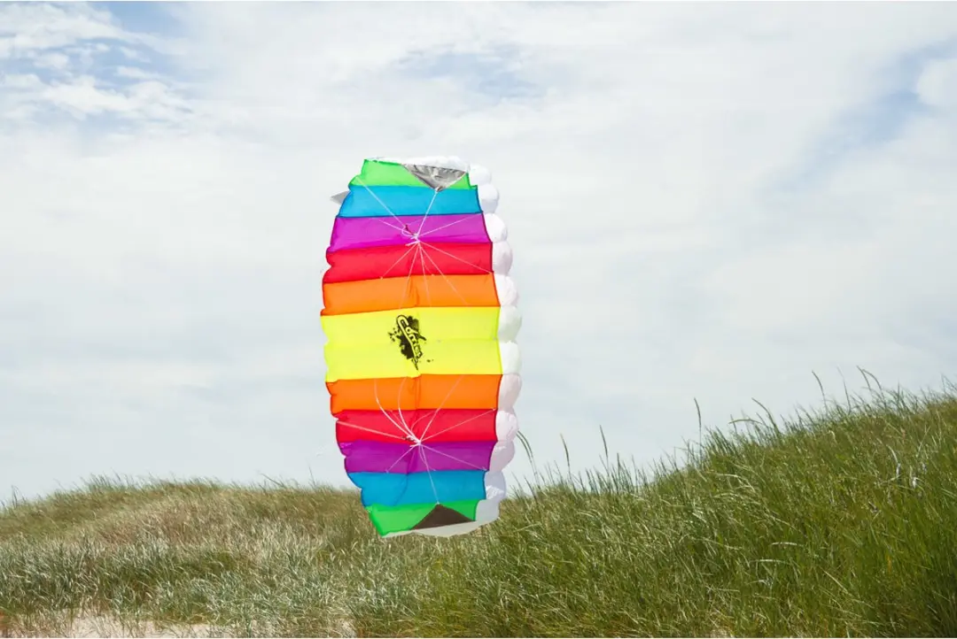 Ecoline Comet Rainbow Vlieger - 2 Lijnen