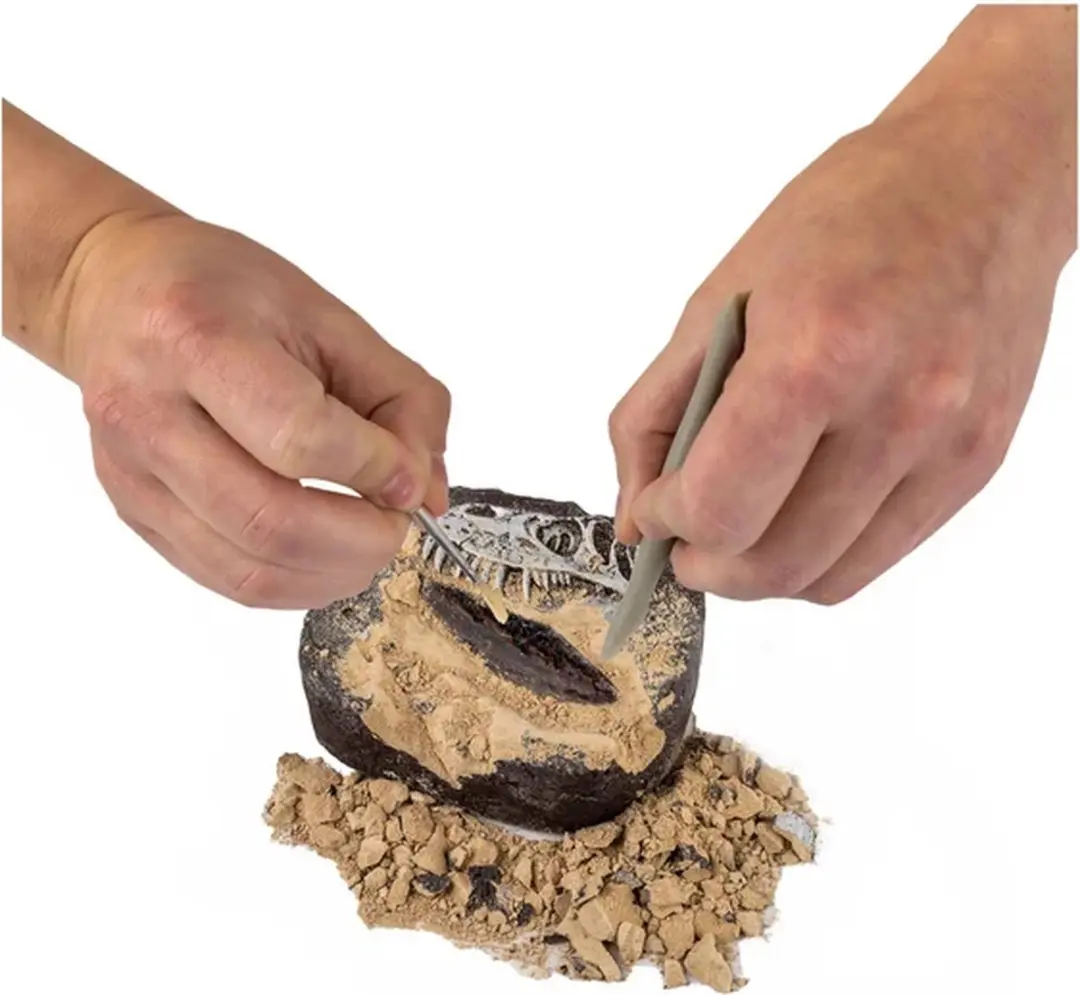National Geographic Dino Opgravingsset 38877 - Multikleur