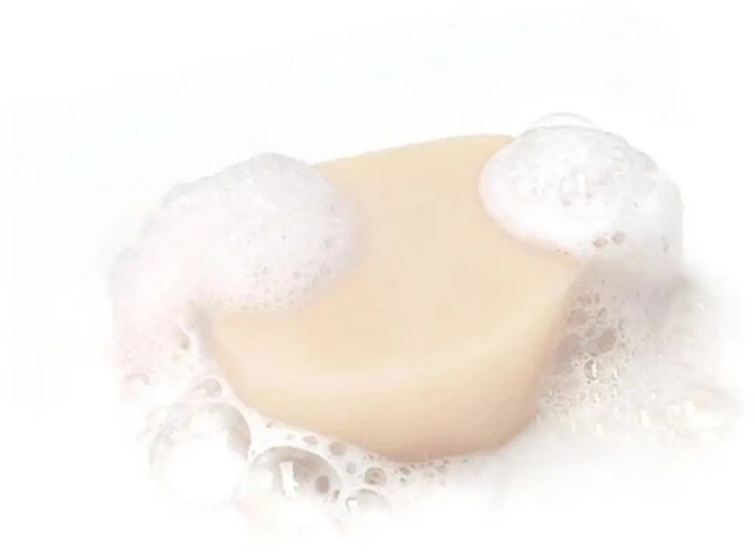 Garnier Loving Blends Milde Haver Solid Shampoo Bar 60g
