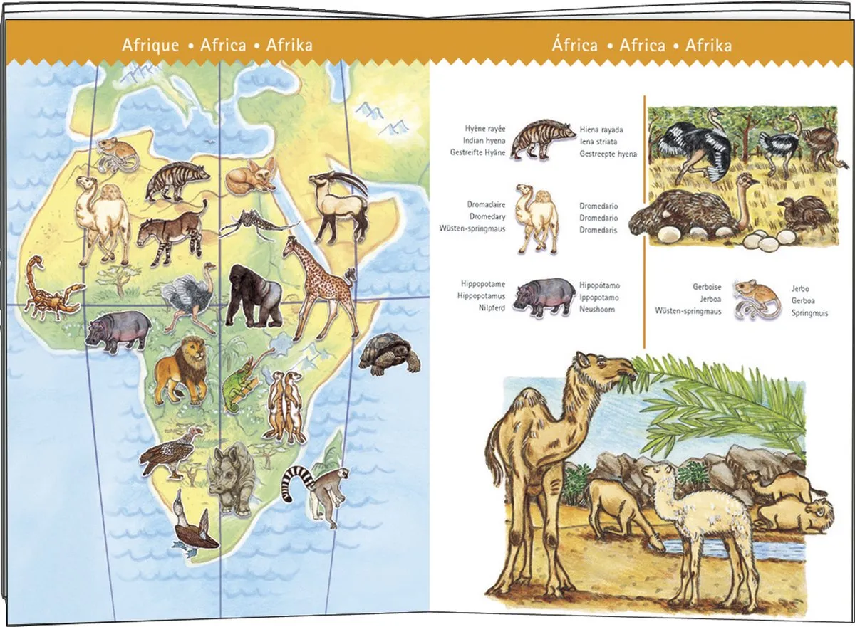 Djeco De Dierenwereld Puzzel 100 Stuks - Multicolor - afbeelding 6 van 6