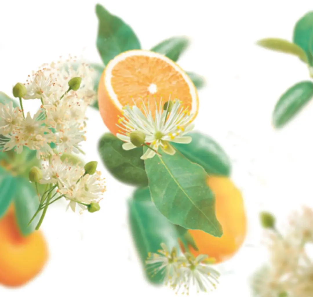 Kneipp Badolie Oranje Lindebloesem 100ml - 12 Stuks