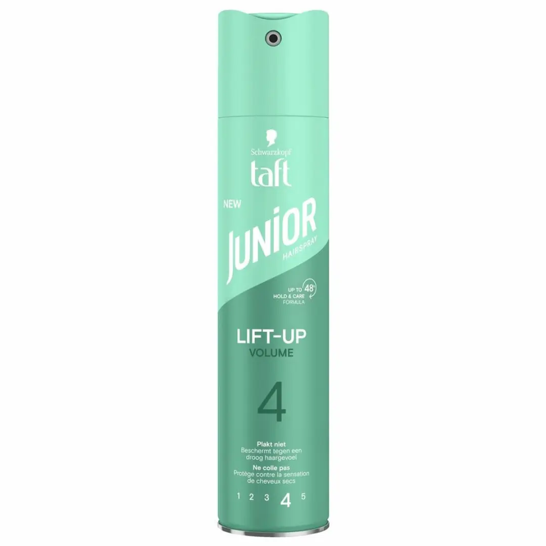 Taft Lift-Up Volume 4 Haarspray 250ml - 6 Stuks