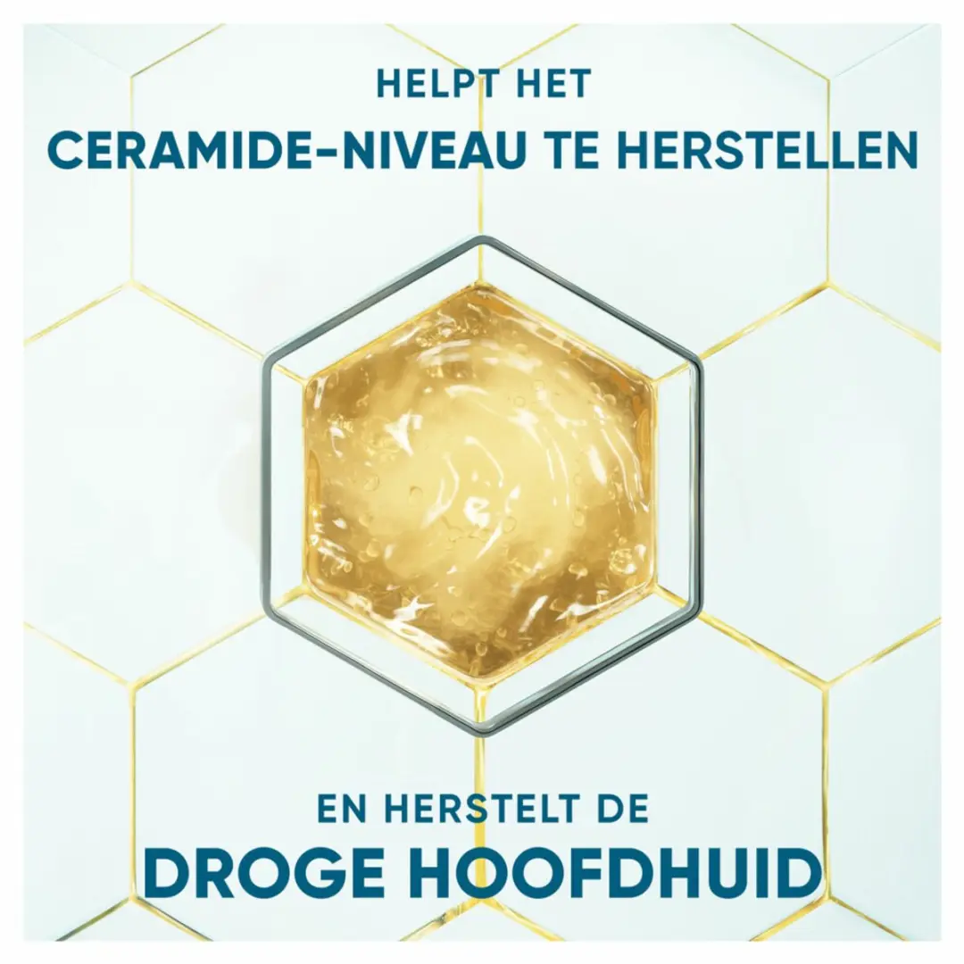 Head & Shoulders DermaXPro Kalmeert Shampoo 500ml - 2 Stuks