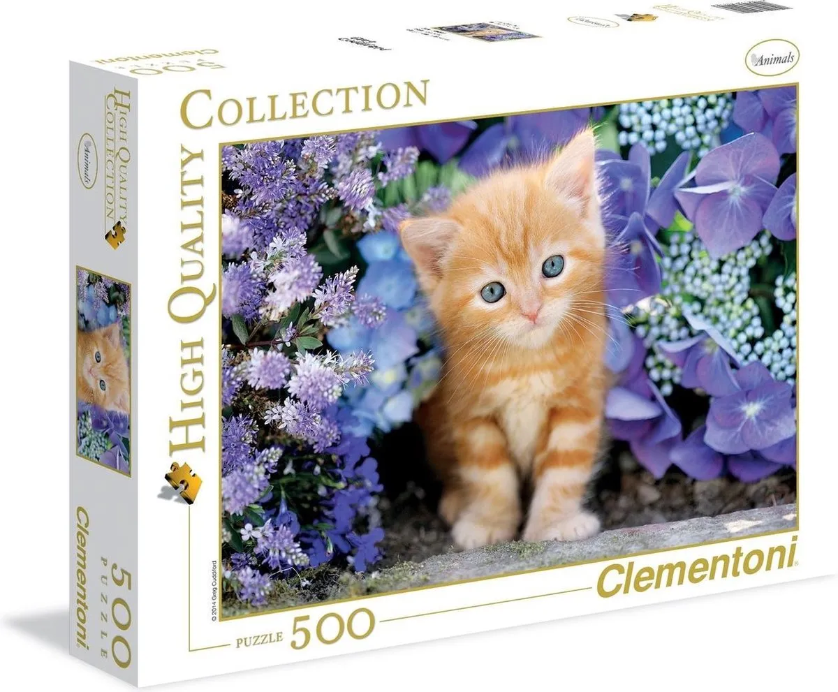 Clementoni Dora the Explorer Maxi Puzzel 104 Stuks - Multikleur