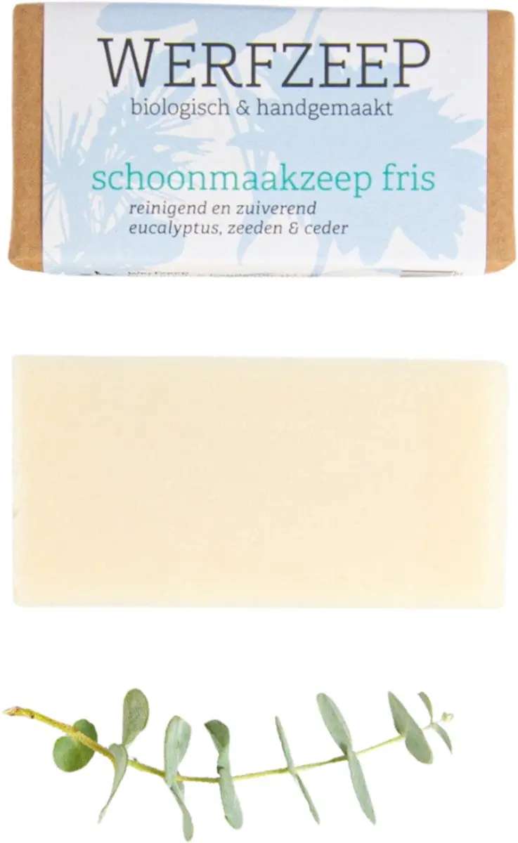 Werfzeep Schoonmaakzeep Fris 100ml