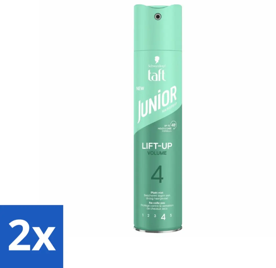 Taft Lift-Up Volume 4 Haarspray 500ml