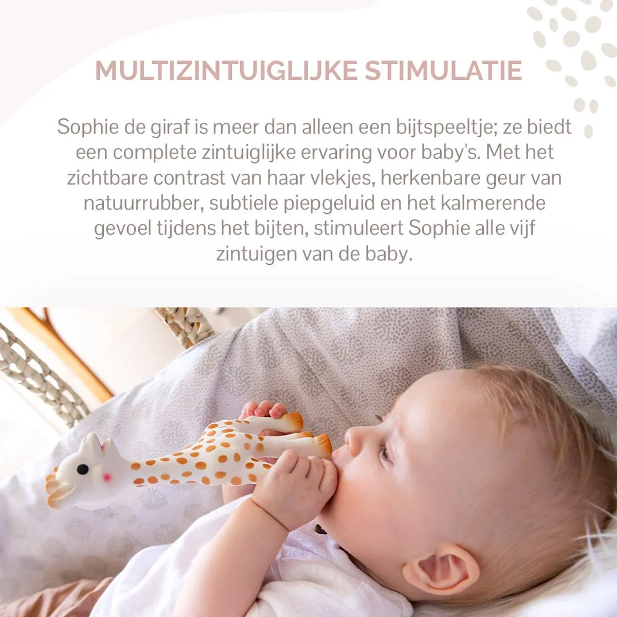 Sophie de Giraf Bijtspeeltje - Natuurlijk Rubber 17cm - Beige/Wit