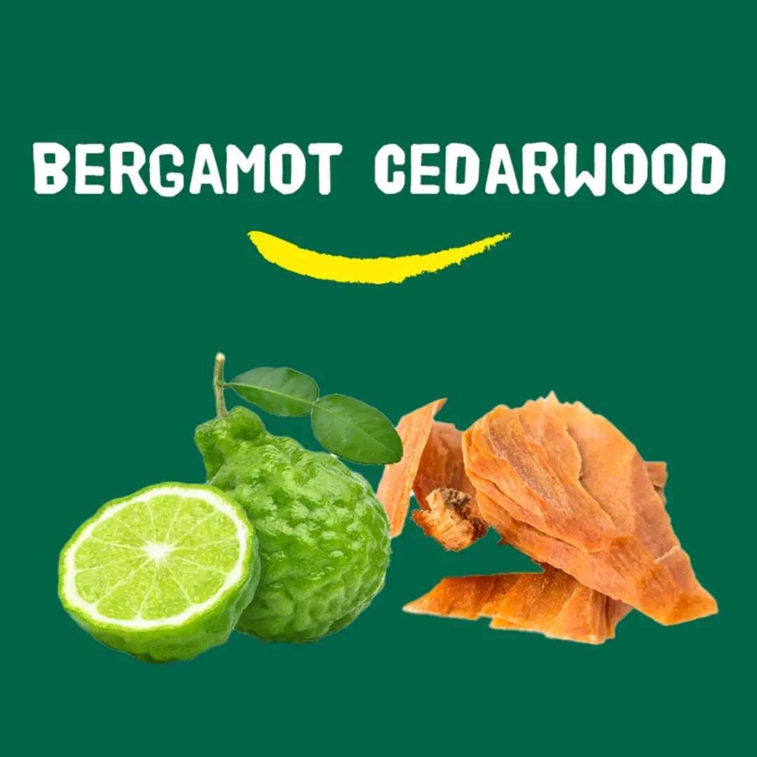Happy Earth Douchegel Bergamot Cedarwood 300ml - 3 Stuks