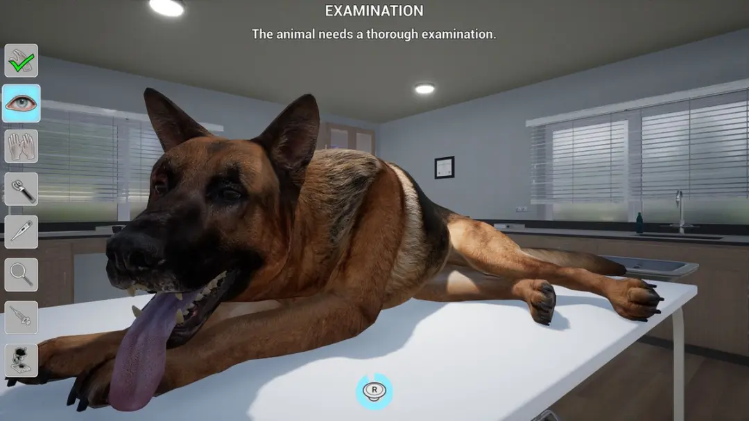 Mindscape Mijn Leven Dierenarts - Switch