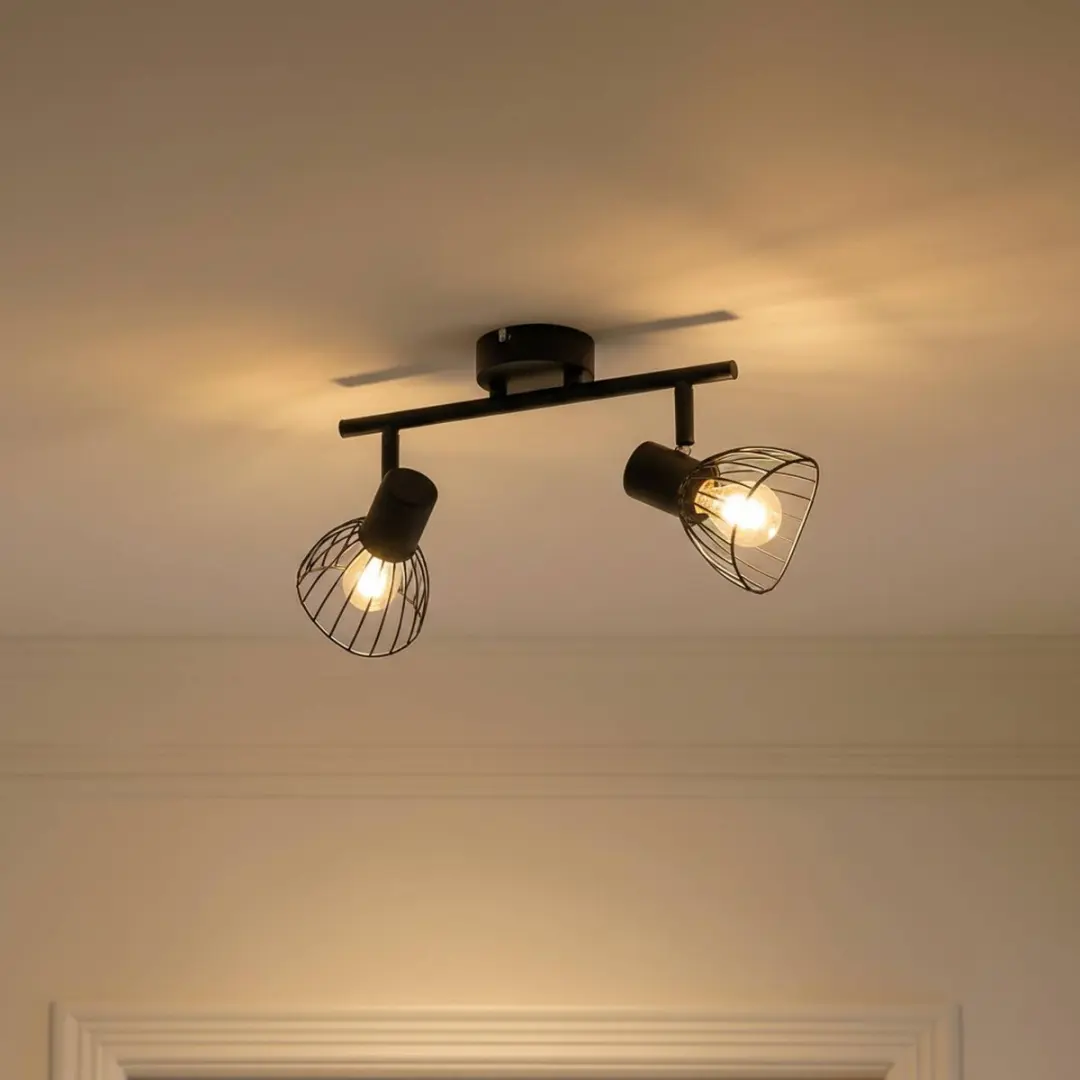 Lindby Plafondlamp 2 Lichtpunten Zwart