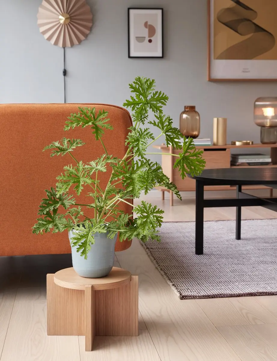 Hübsch Wandlamp Textiel Metaal - Ø48cm - Zand/Messing