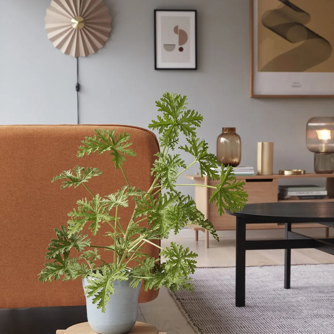 Hübsch Wandlamp Textiel Metaal - Ø48cm - Zand/Messing - afbeelding 6 van 6