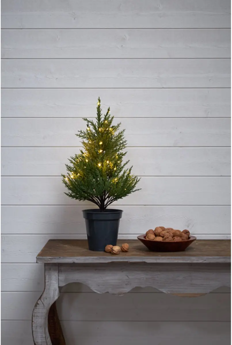 Star Trading Anno Grote Kandelaar 7-lichts - 3W per punt - 71cm - Wit