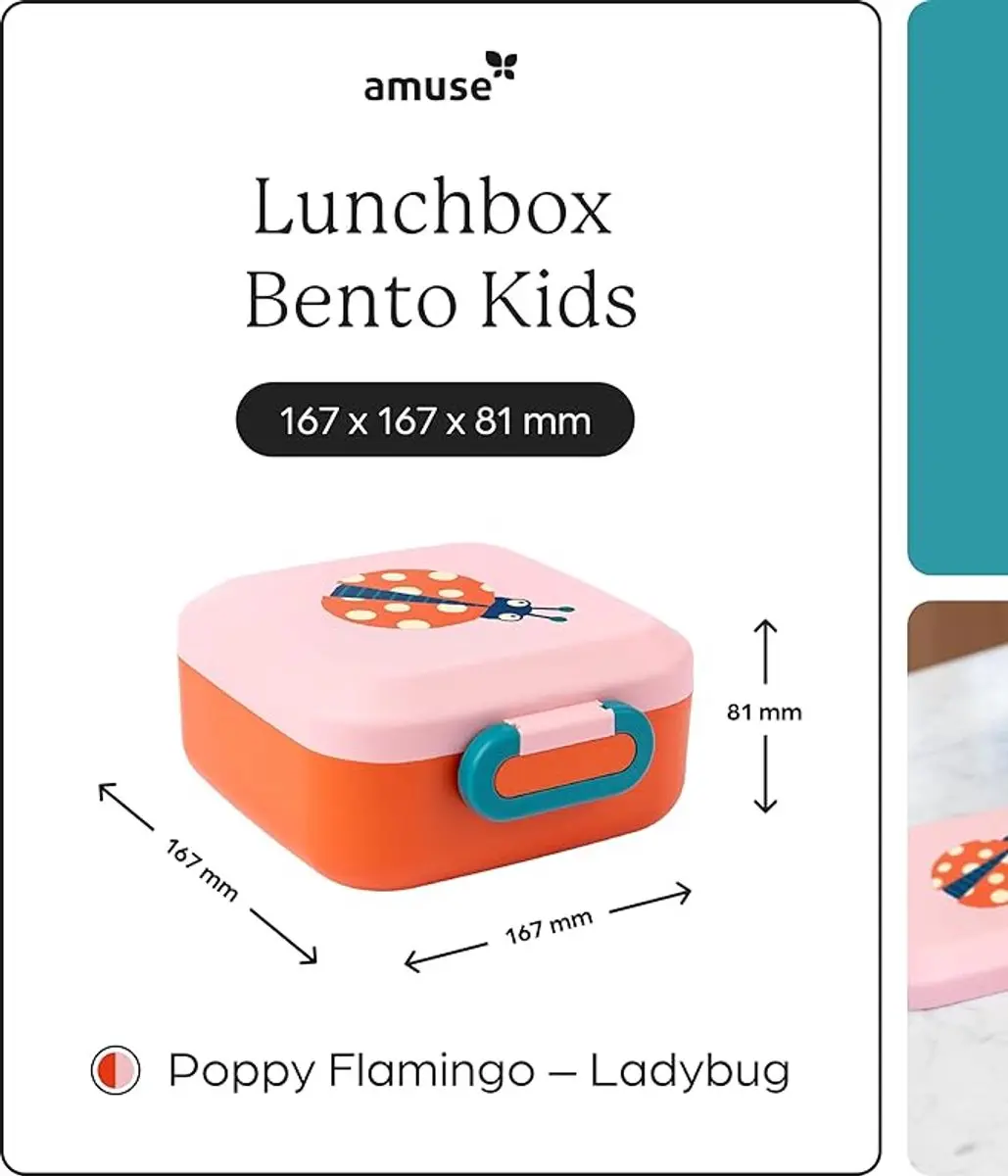 Amuse Rikko Kids Ladybug Bento Lunchbox - 550ml + 2x185ml - 3 Compartimenten