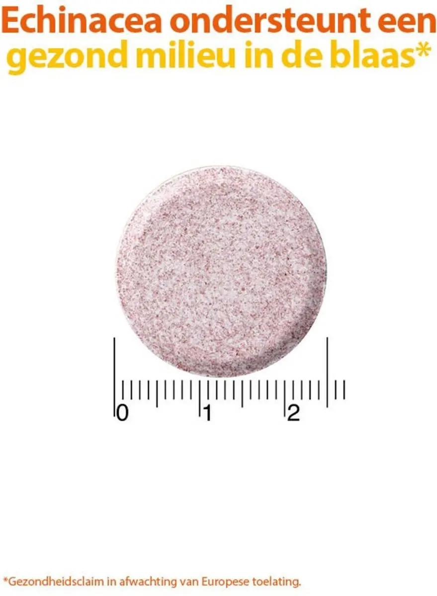 Roter Cranberry Bruistabletten - 40 Stuks (2x20)