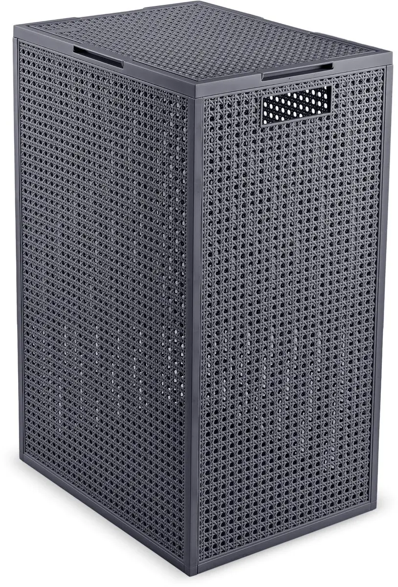 Curver Kaya Wasmand met deksel 60L