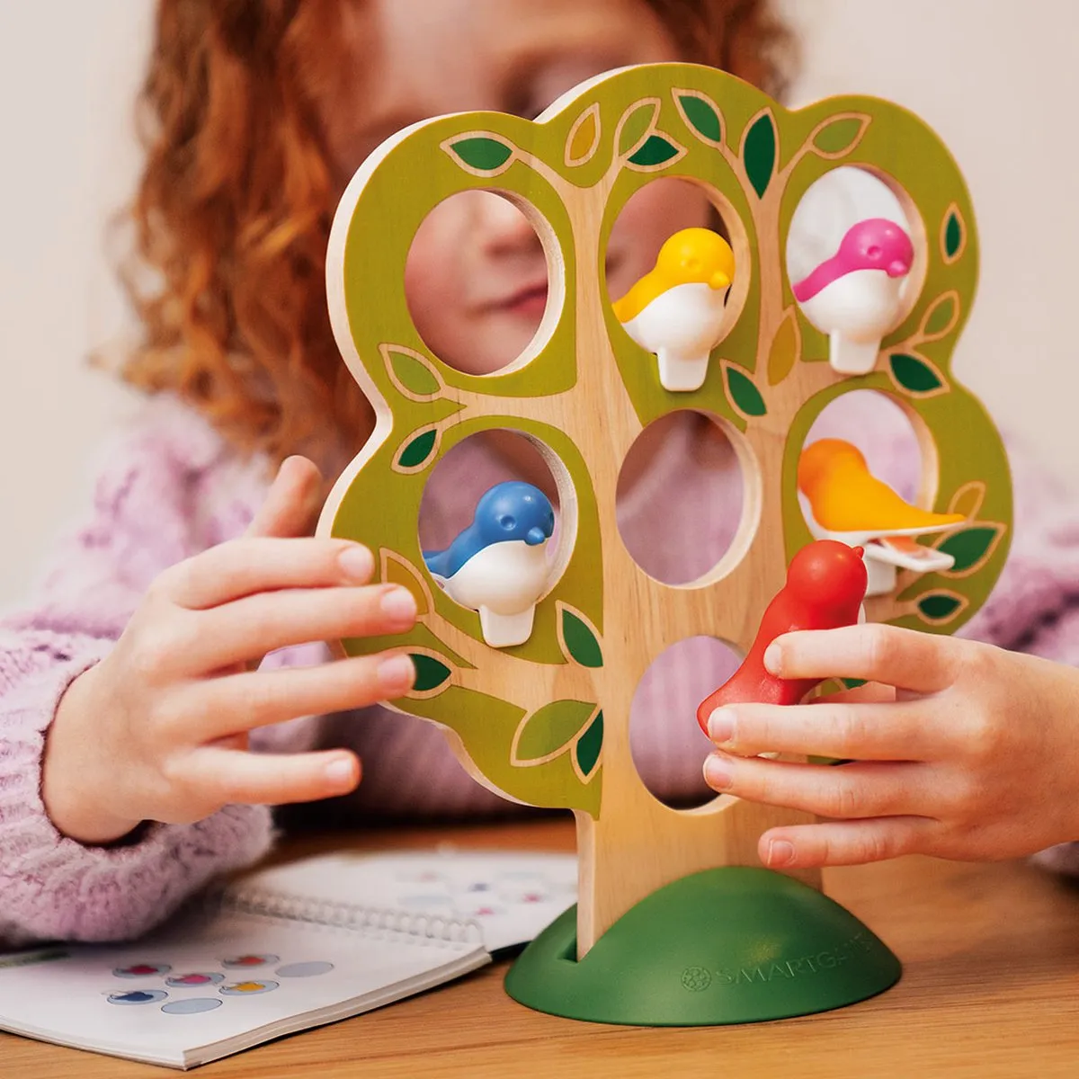 SmartGames 5 Little Birds SG 039 - Logica Puzzelspel
