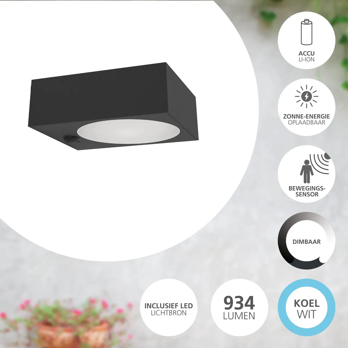 Eglo Darfano Wandlamp Buiten Sensor Zwart - 14,5 cm