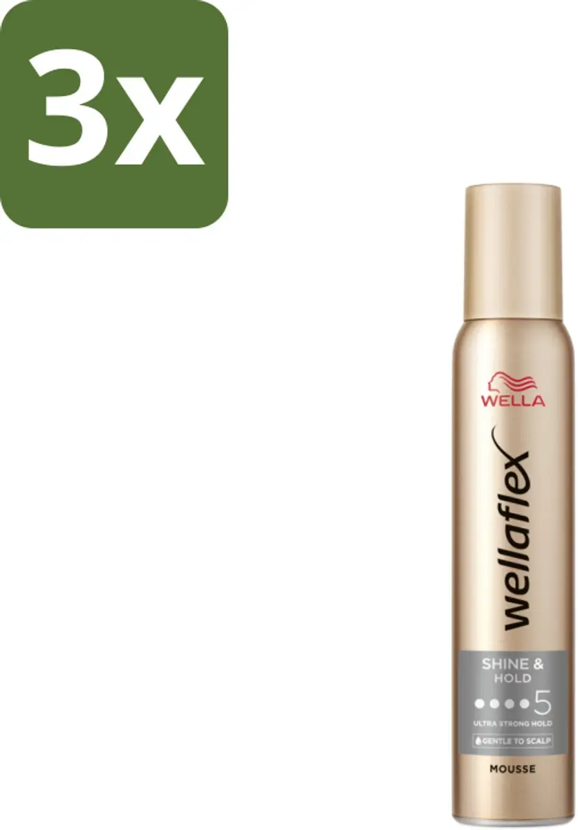 Wella Flex Shine & Hold Haarmousse 600ml
