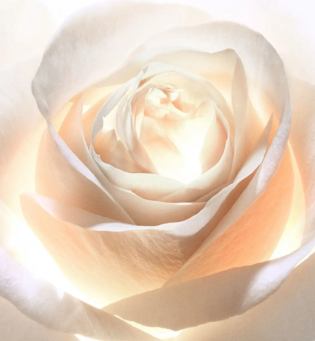 Dior Prestige Light-In-White Dag & nachtcrème 50ml